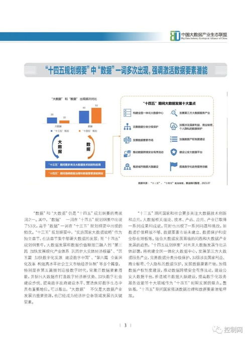 賽迪2021白皮書揭示 基礎軟件服務驅動中國大數據產業創新突破